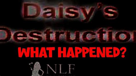 daisy's destruction nfl|nlf daisy's destruction.